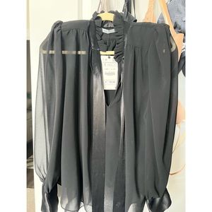 Zara Sheer Blouse